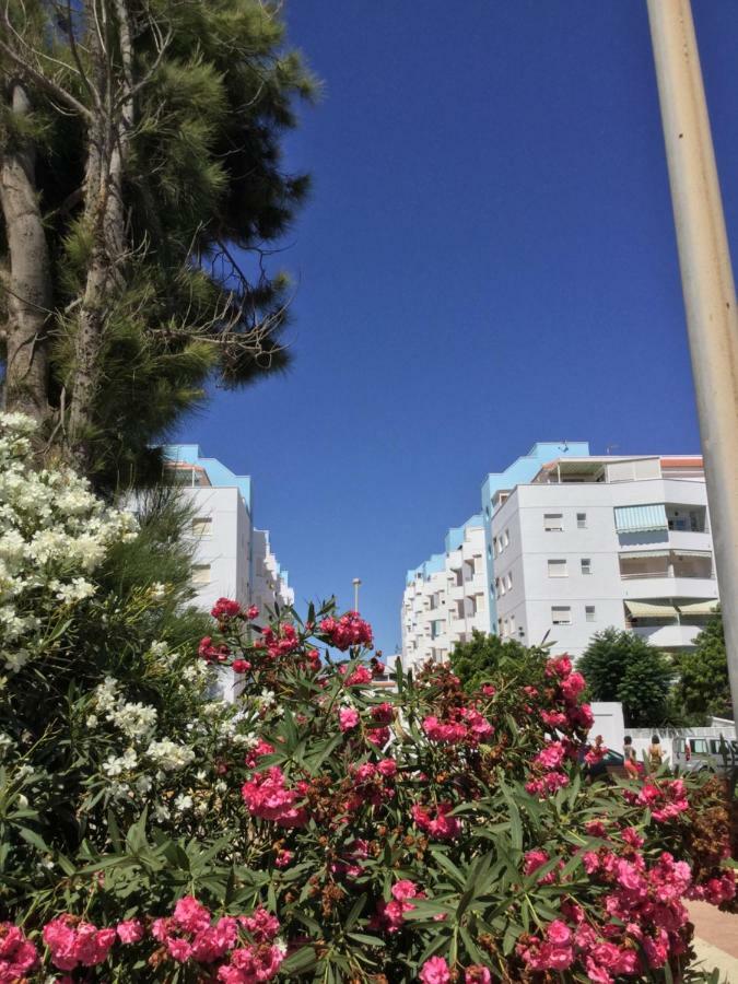 滨海罗克塔斯La Perla Azul Playa - Terraza Al Sol公寓 外观 照片